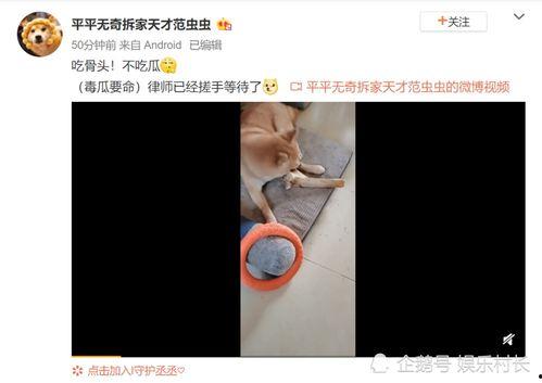 狗仔范丞丞爆料视频大全,揭秘娱乐圈幕后真相